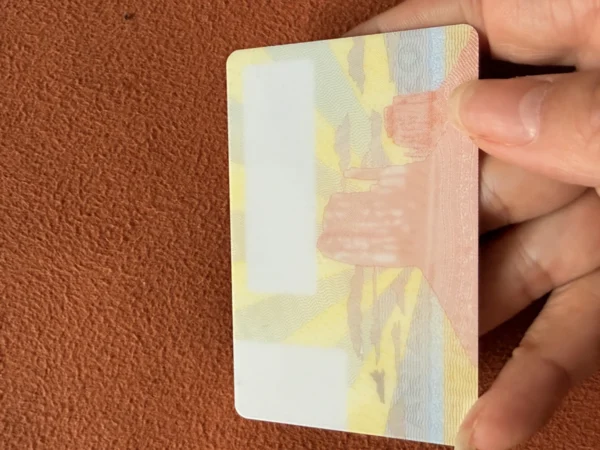 US State Style Security Test Card Blanks with UV Features