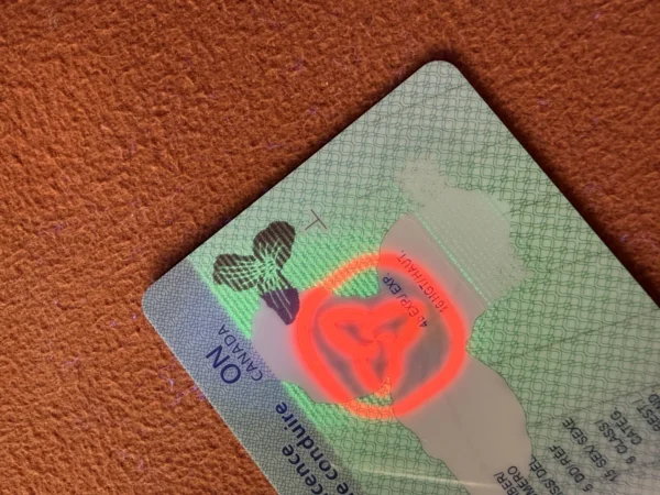 North American State Style Security Test Card Blanks with Anti-Counterfeit Features