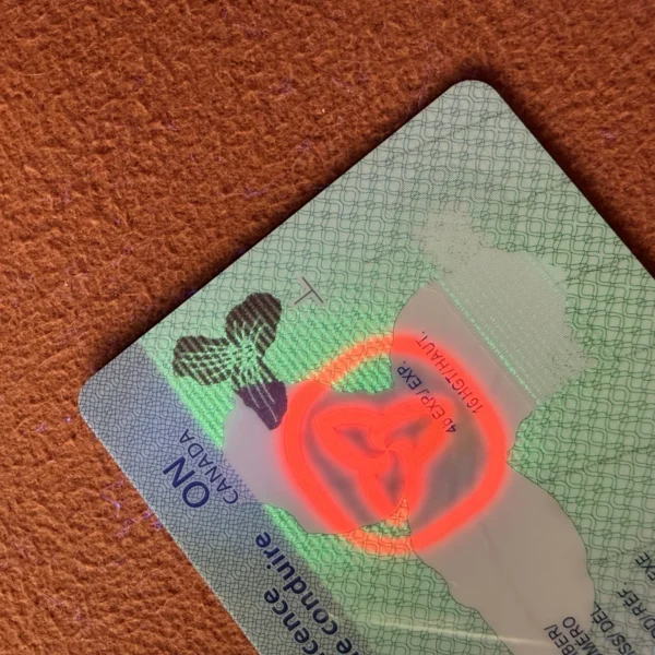 North American State Style Security Test Card Blanks with Anti-Counterfeit Features