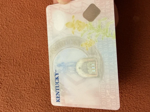 North American State Style Security Test Card Blanks with Anti-Counterfeit Features
