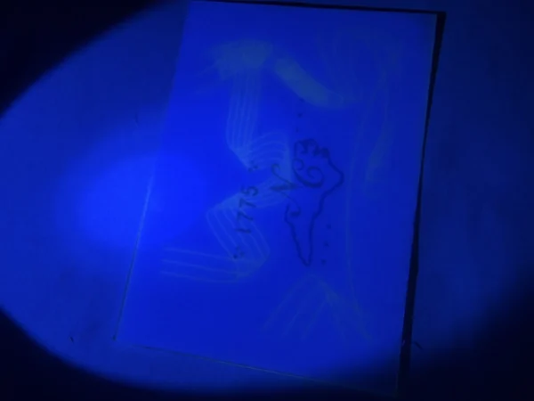 UV Glowing PET Laminated Security Printable Cards