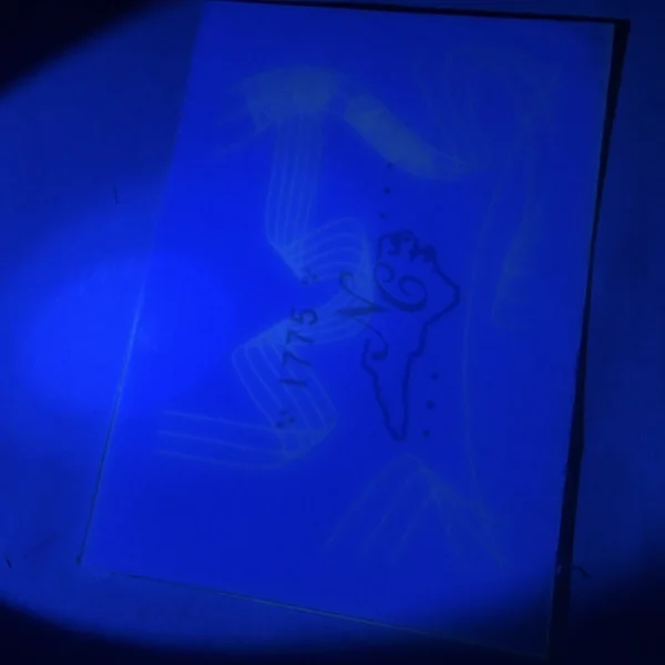 UV Glowing PET Laminated Security Printable Cards