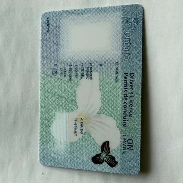 Anti Scratch PET Overlay Plastic Cards Blank Base for Security Printing