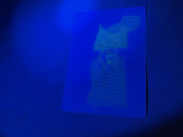 UV Glowing PET Laminated Security Printable Cards